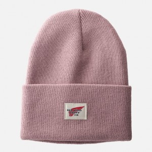 Red Wing Cuffed Beanie Hat in Pale Rose | LSVCP-0342