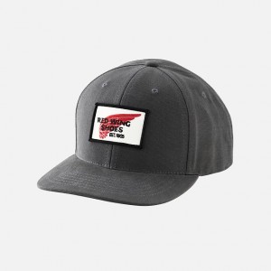 Red Wing Embroidered Logo Ball Cap in Gray | DYSOH-6145