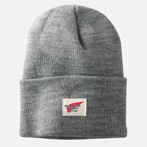 Red Wing Knit Watch Hat in Light Gray Heather | YPZIM-5490